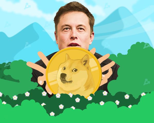 Илон Маск придумал шутливое применение Dogecoin в Tesla