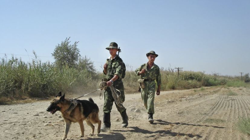 Не только силовые методы: как Россия может отреагировать на обострение ситуации на афгано-таджикской границе